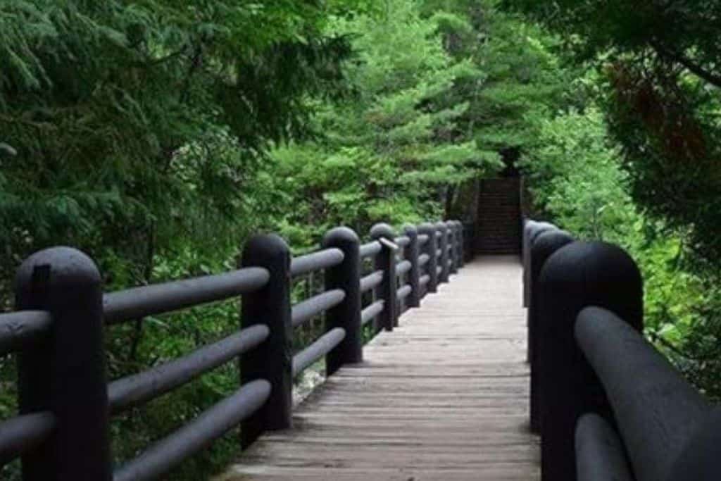 Doughboy Nature Trail