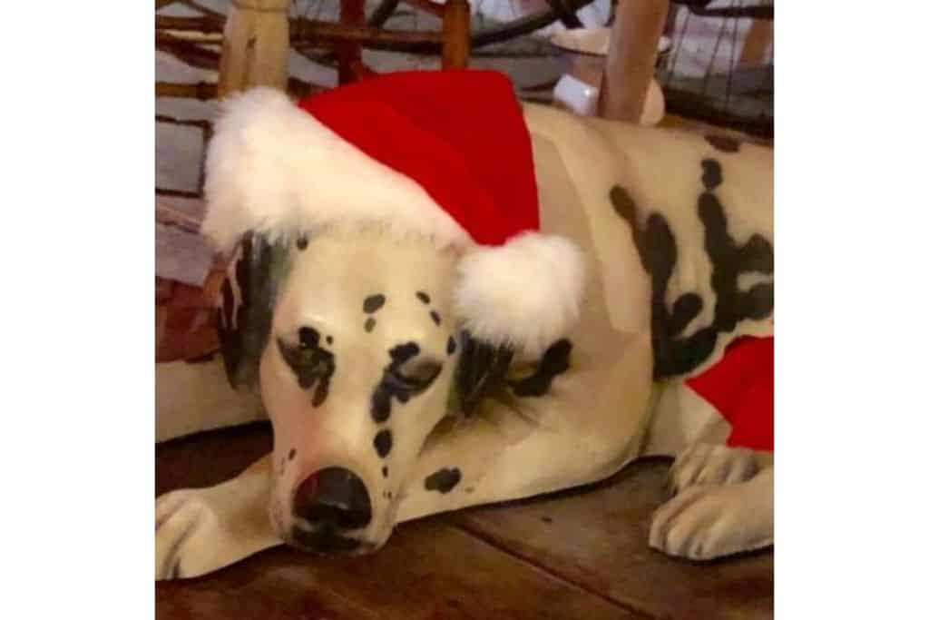 House on the Rock Dalmatian