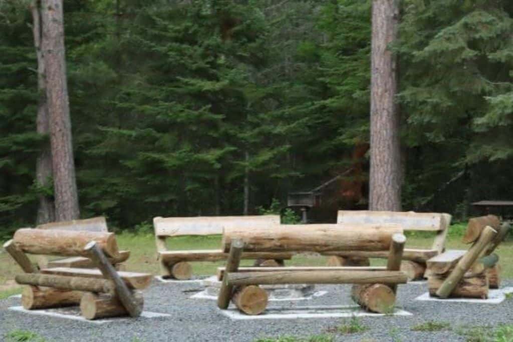tree trunk Park Benches