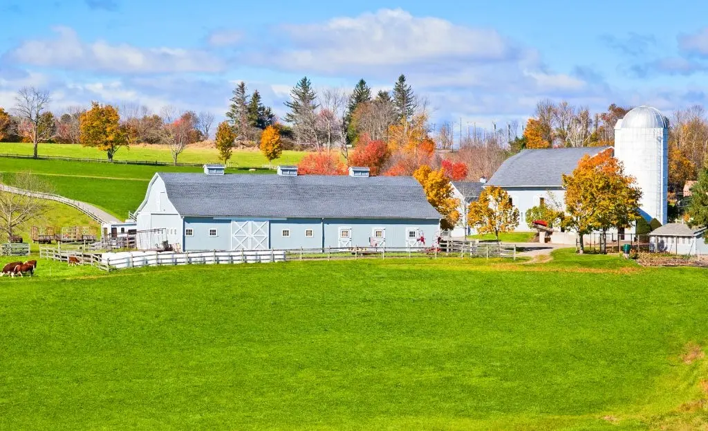 Wisconsin is Known as The Dairy State